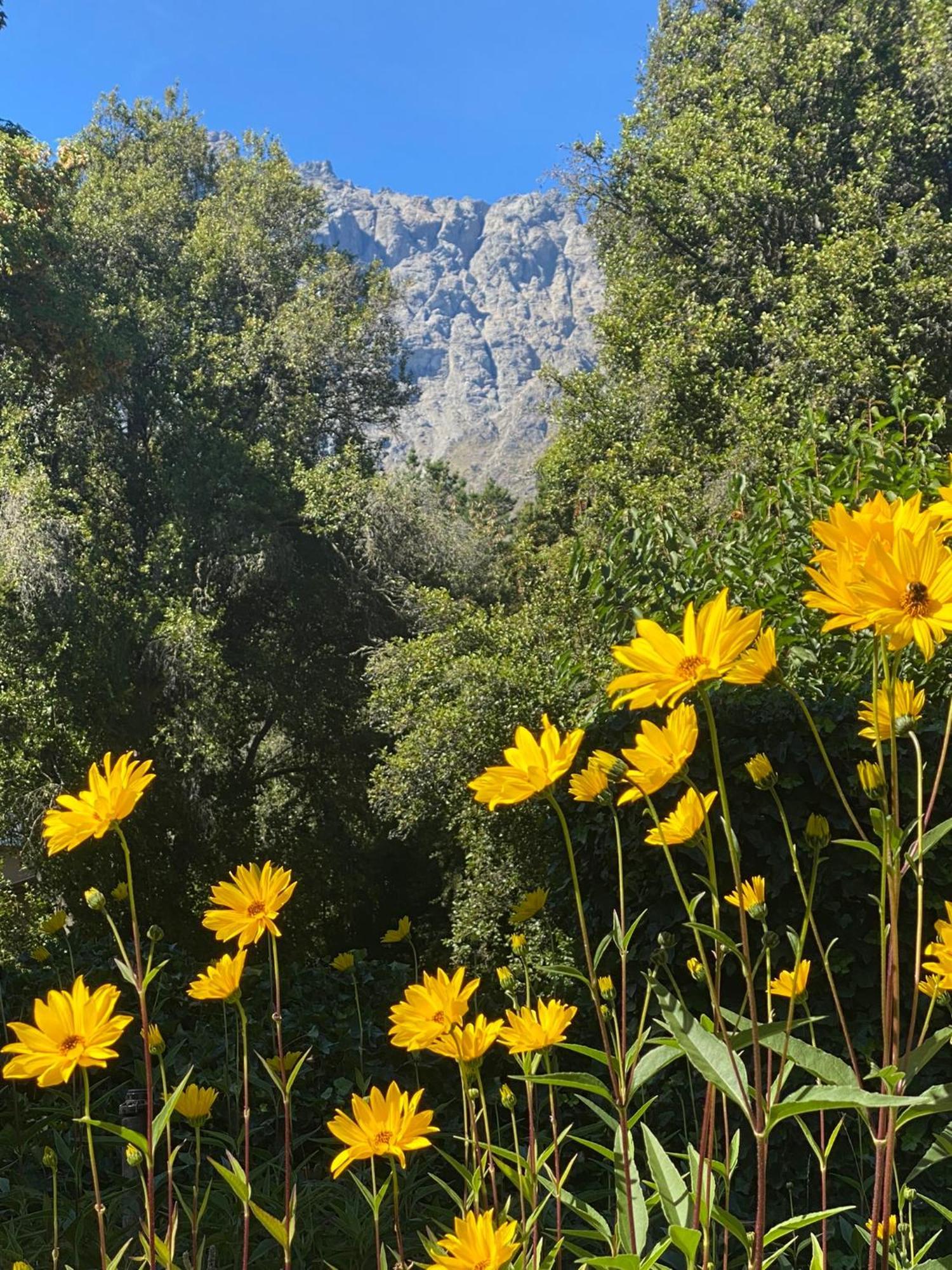 Altos del Sur Cabañas de Montaña El Bolsón Exterior foto
