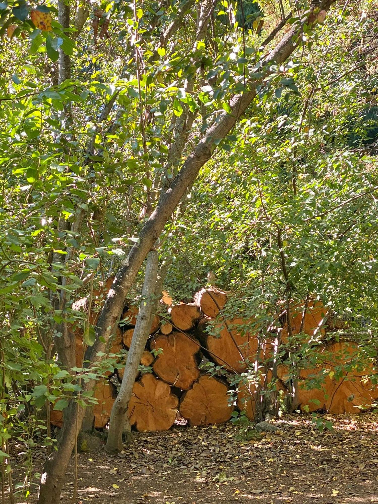 Altos del Sur Cabañas de Montaña El Bolsón Exterior foto